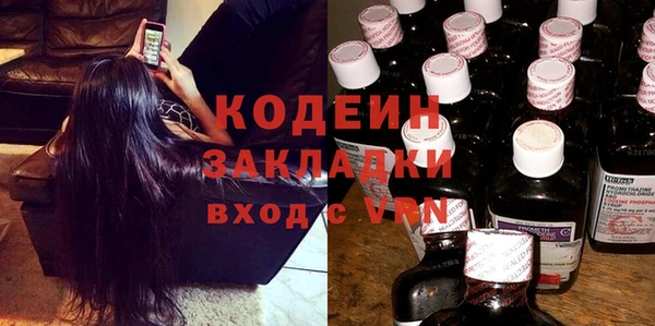 ПСИЛОЦИБИНОВЫЕ ГРИБЫ Богданович