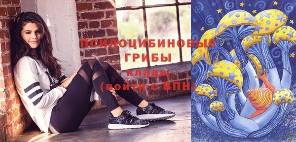 эйфоретик Бородино